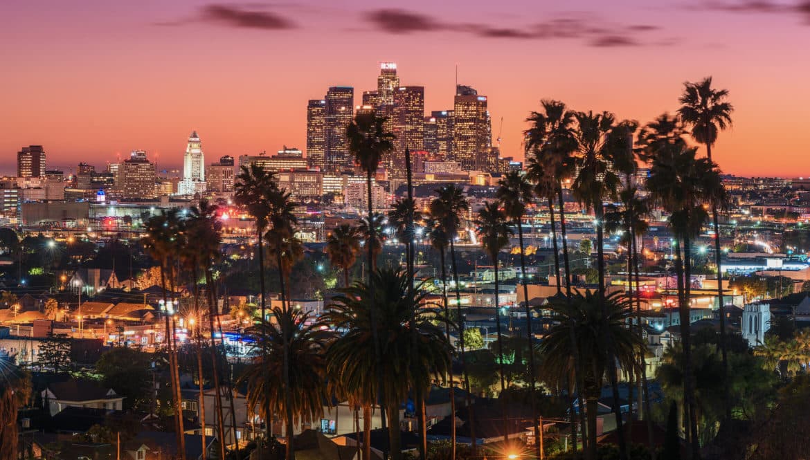 a city skyline at night with palm trees in the foreground.