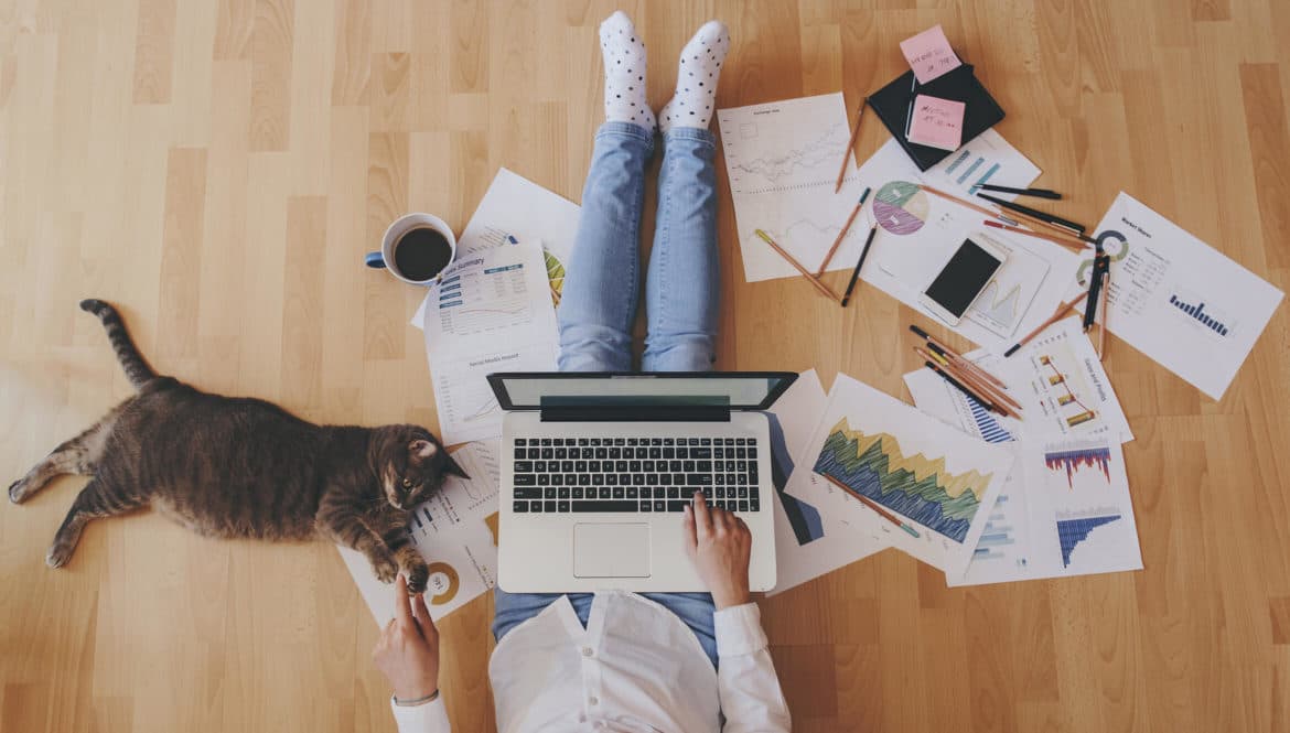 a person sitting at a desk with a laptop and a cat.