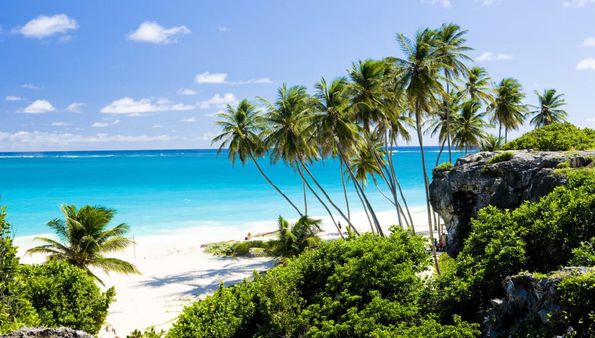 a tropical beach with palm trees and blue water.