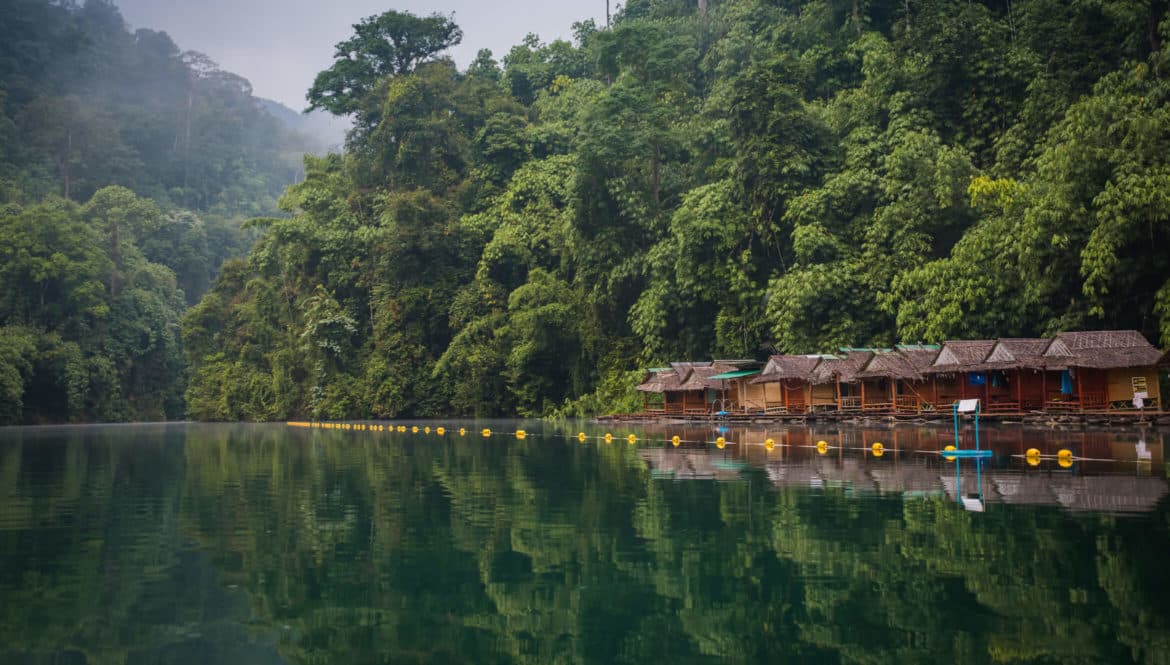 a body of water surrounded by lush green trees.